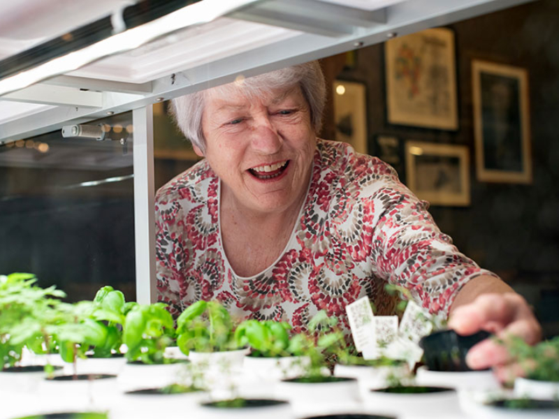 Lifestyle-Gallery-Greenhouse Resident tending to herbs in the greenhouse