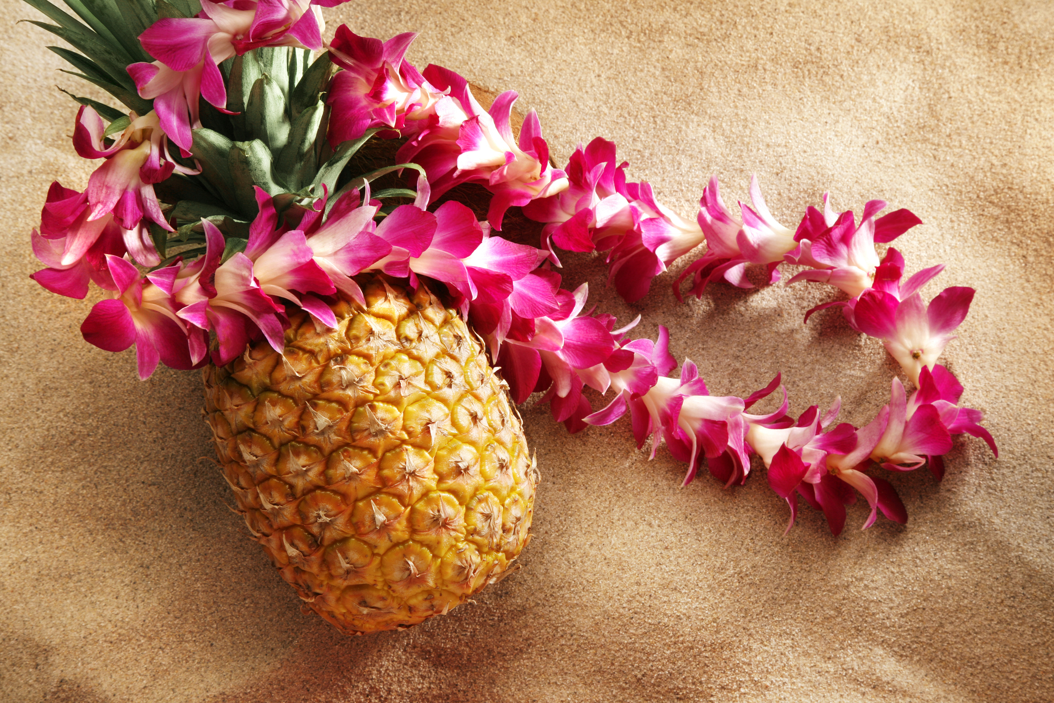 LUAU SHELLABRATION